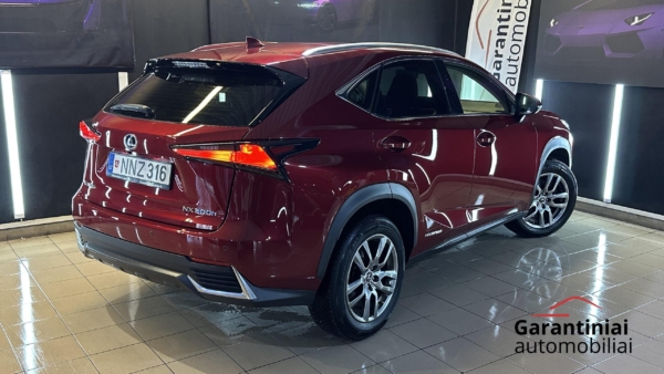 Alternative view of Lexus NX300h 2.5 Business 2019 m.