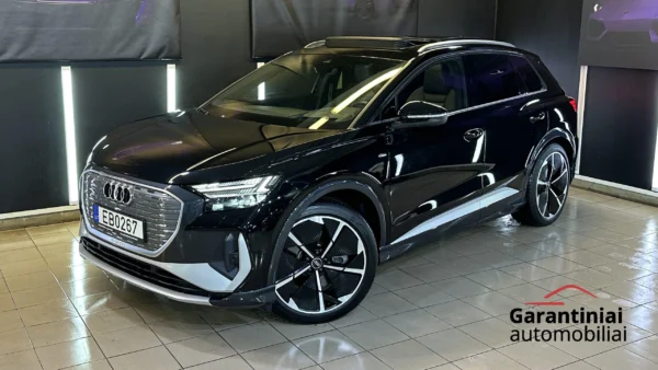 Audi Q4 50 E-Tron 220 kW Quattro 2021 m. 1