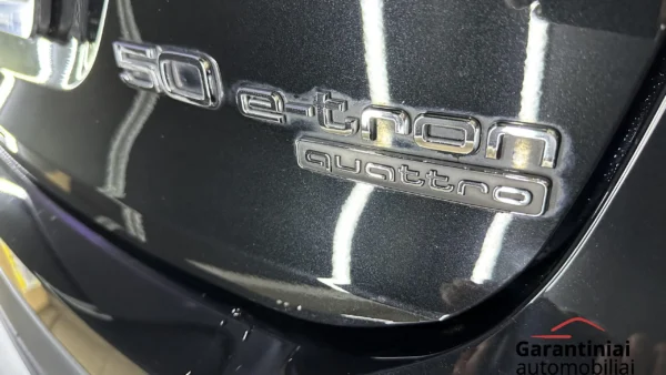 Audi Q4 50 E-Tron 220 kW Quattro 2021 m. 3