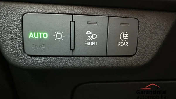 Audi Q4 50 E-Tron 220 kW Quattro 2021 m. 30