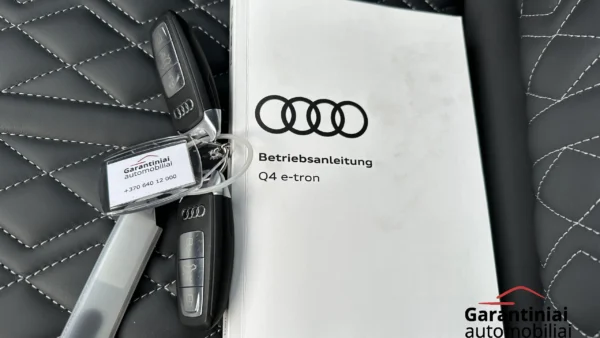 Audi Q4 50 E-Tron 220 kW Quattro 2021 m. 45