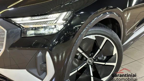 Audi Q4 50 E-Tron 220 kW Quattro 2021 m. 6