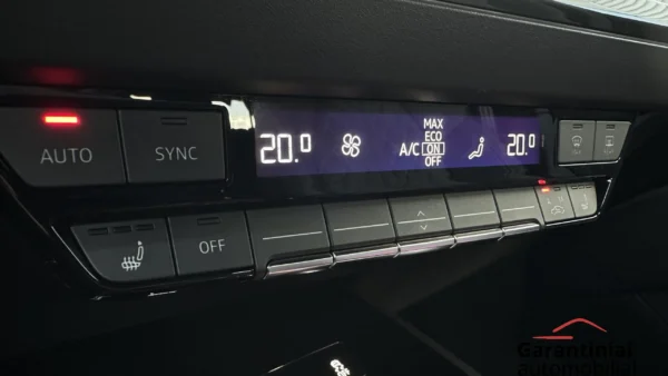 Audi Q4 50 E-Tron 220 kW Quattro 2021 m. 25