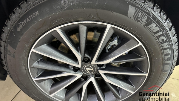 Lexus NX 450h+ 2.5 Hybrid Executive 2023 m. Plug-In 31