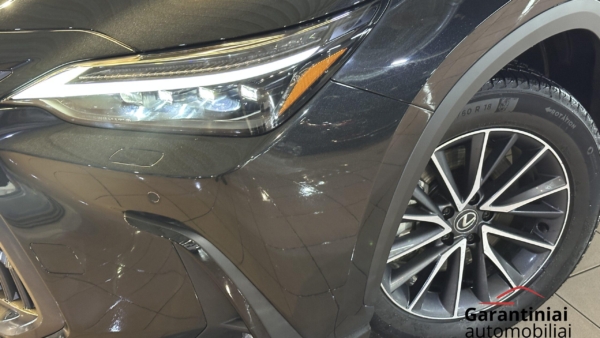 Lexus NX 450h+ 2.5 Hybrid Executive 2023 m. Plug-In 33