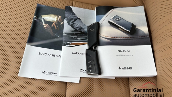 Lexus NX 450h+ 2.5 Hybrid Executive 2023 m. Plug-In 34