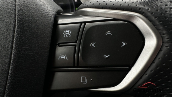 Lexus NX 450h+ 2.5 Hybrid F-Sport 2023 m. Plug-In 10