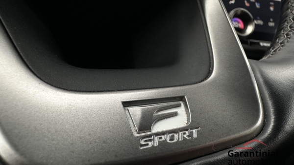 Lexus NX 450h+ 2.5 Hybrid F-Sport 2023 m. Plug-In 14