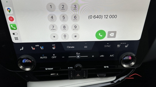 Lexus NX 450h+ 2.5 Hybrid F-Sport 2023 m. Plug-In 18