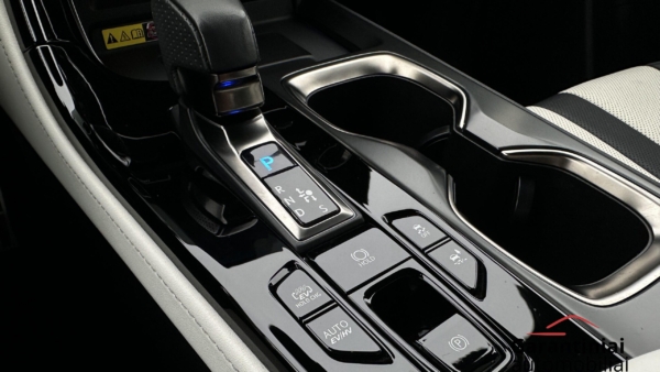 Lexus NX 450h+ 2.5 Hybrid F-Sport 2023 m. Plug-In 23