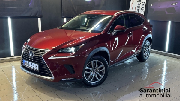 Lexus NX300h 2.5 Business 2019 m. 1