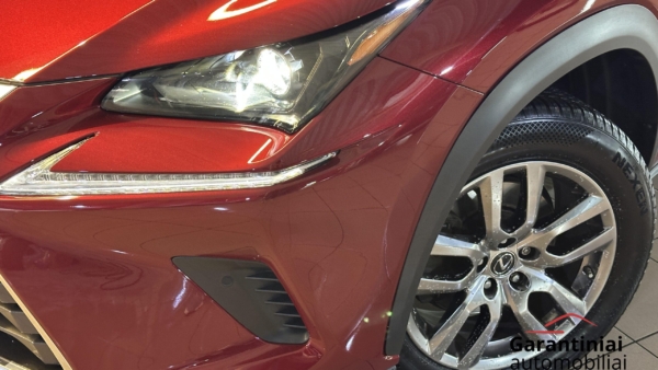 Lexus NX300h 2.5 Business 2019 m. 30