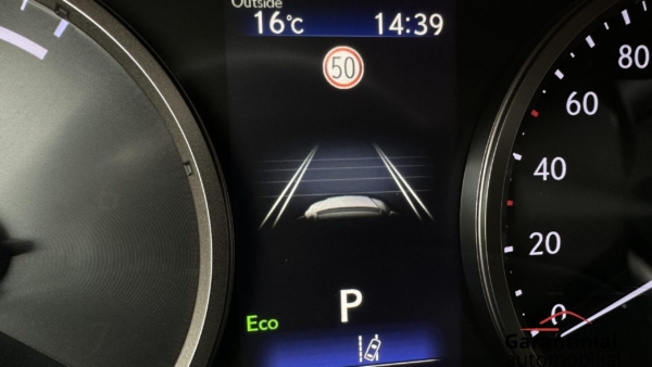 Lexus NX300h 2.5 Business 2019 m. 8