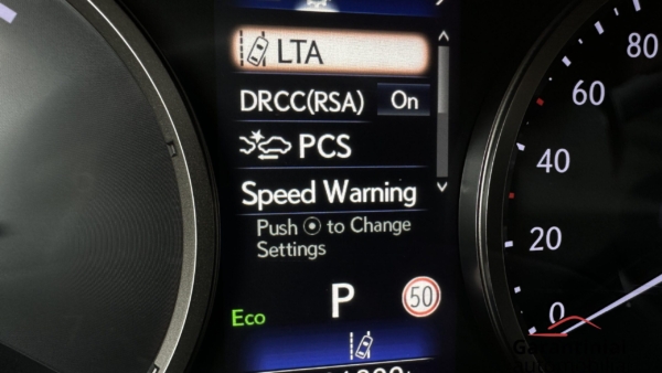 Lexus NX300h 2.5 Business 2019 m. 9