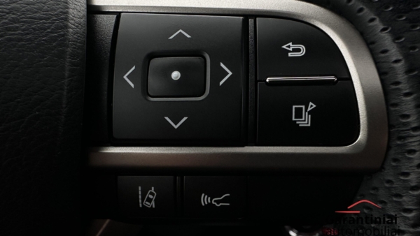 Lexus RX 450h 3.5 Hybrid AWD F-Sport 2018 m. 11
