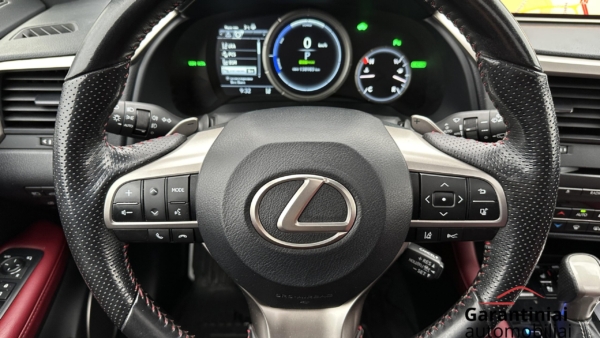 Lexus RX 450h 3.5 Hybrid AWD F-Sport 2018 m. 6