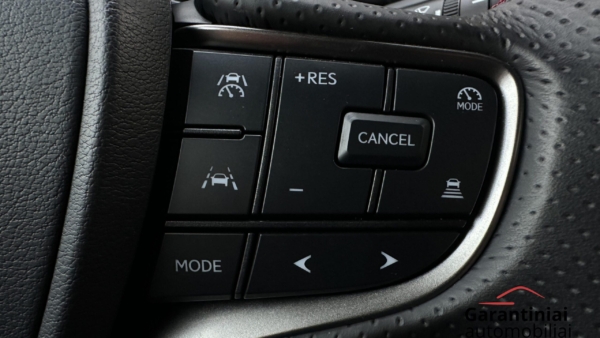 Lexus UX 300h 2.0 F-Sport AWD 2024 m. 10