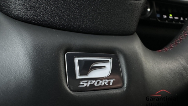 Lexus UX 300h 2.0 F-Sport AWD 2024 m. 14
