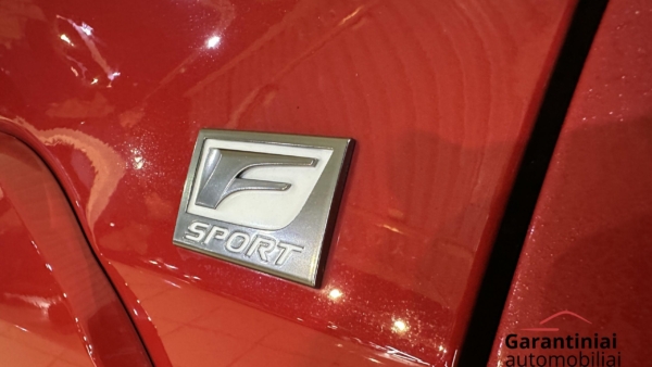 Lexus UX 300h 2.0 F-Sport AWD 2024 m. 35