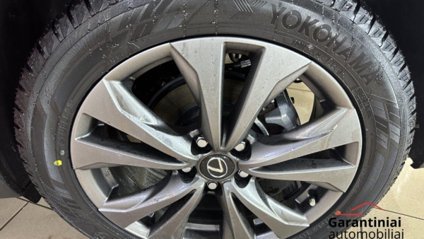Lexus UX 300h 2.0 F-Sport AWD 2024 m. 38