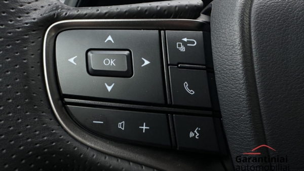 Lexus UX 300h 2.0 F-Sport AWD 2024 m. 9