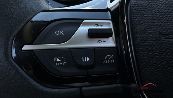 Peugeot 308 1.6 Allure PHEV 2023 m. Įkraunamas hibridas 13