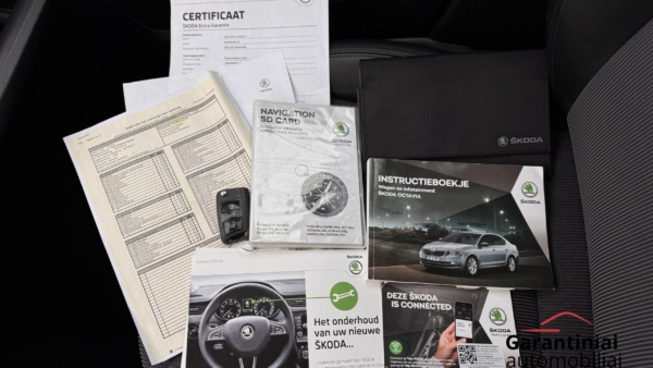 Skoda Octavia 1,5 TSi DSG Style 2019 m. 27