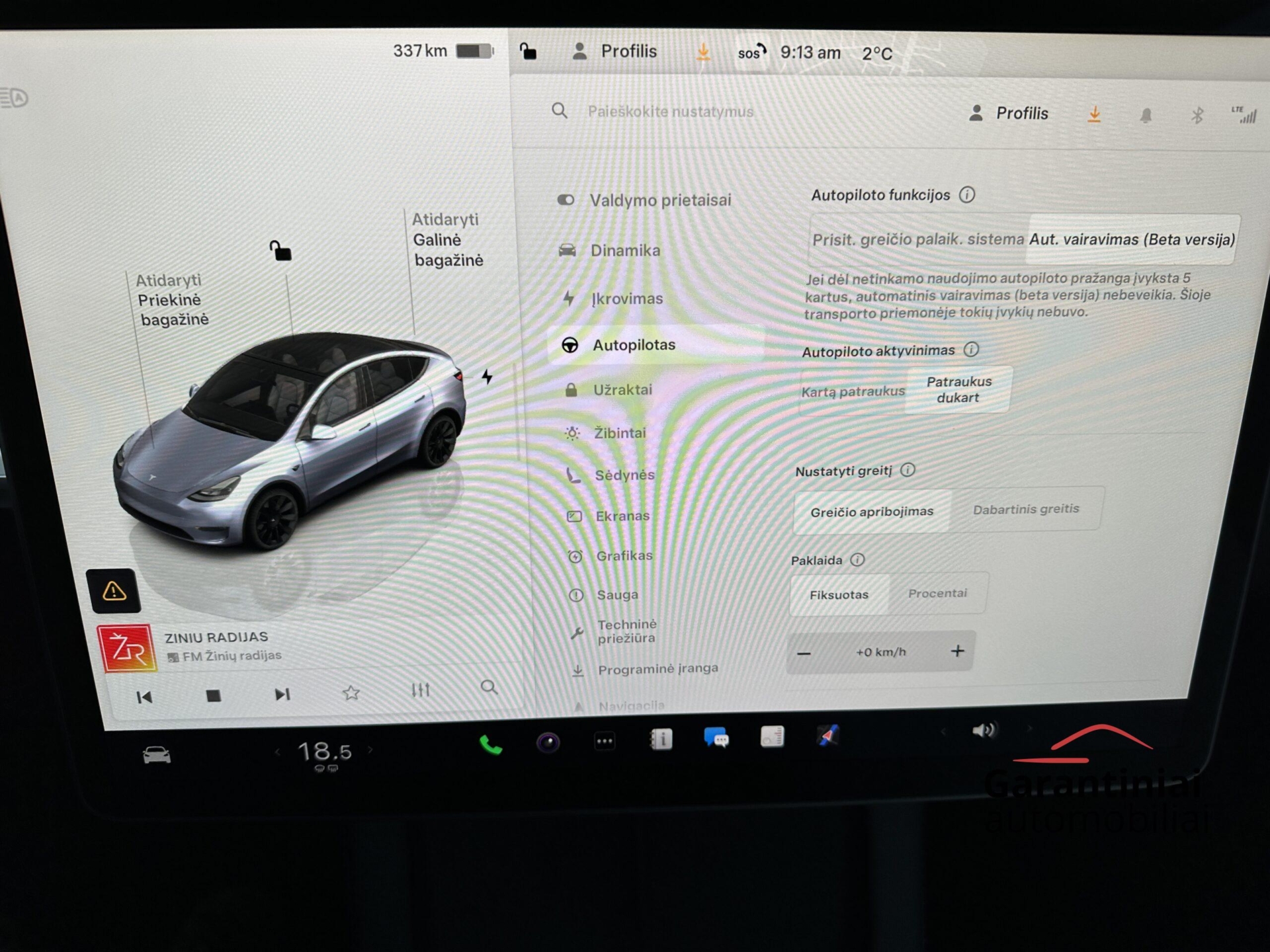 Tesla Model Y Long Range Dual Motor 2023 m. 10