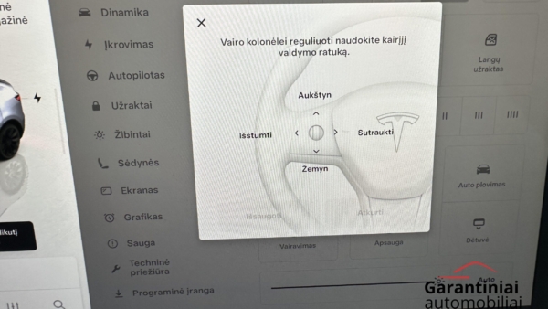 Tesla Model Y Long Range Dual Motor 2023 m. 14