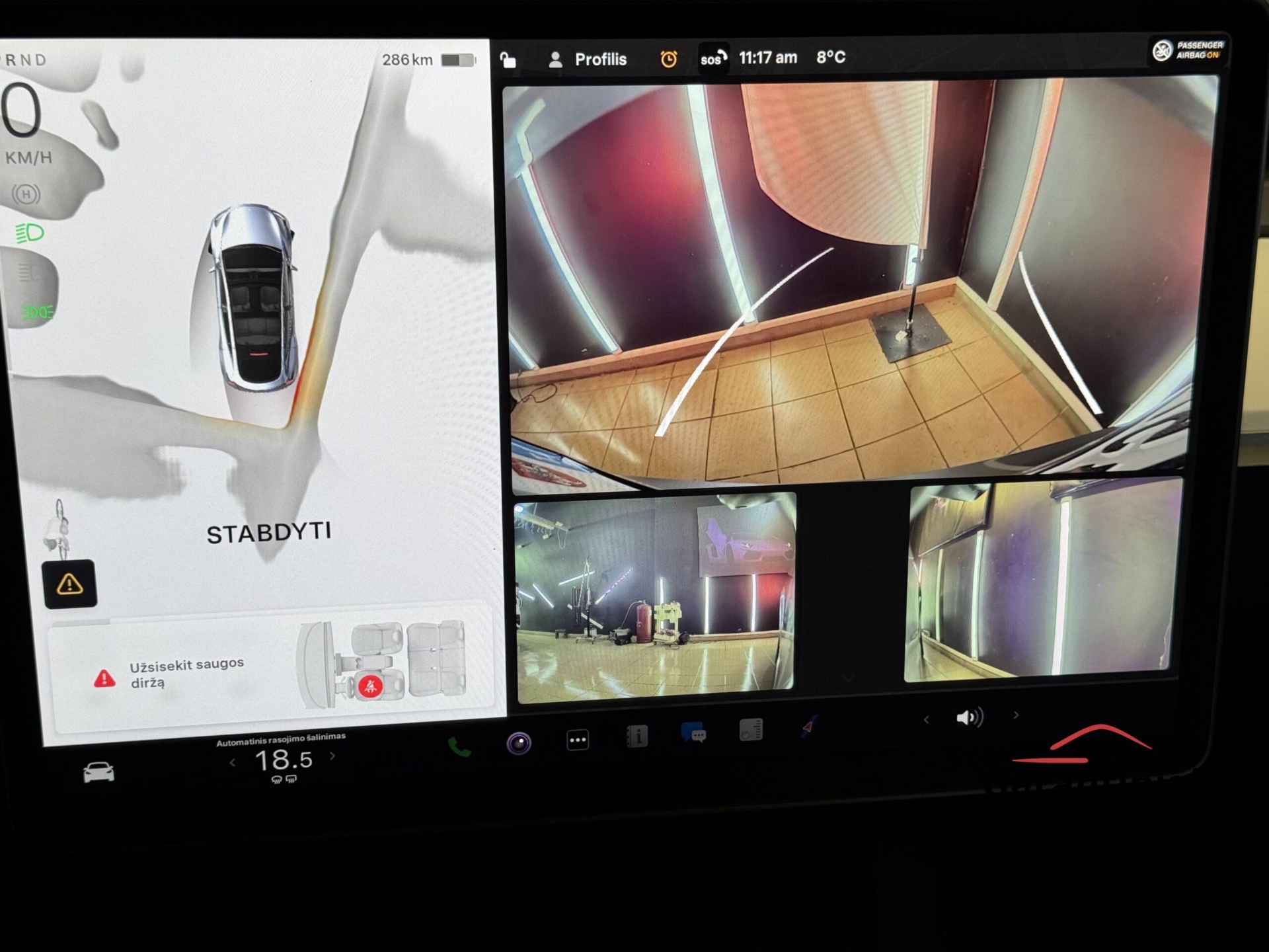 Tesla Model Y Long Range Dual Motor 2023 m. 18