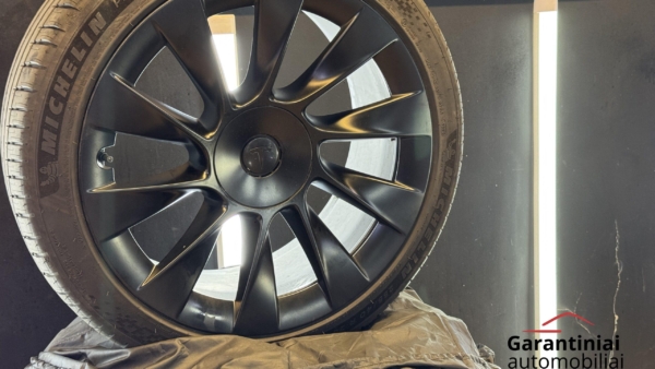 Tesla Model Y Long Range Dual Motor 2023 m. 25