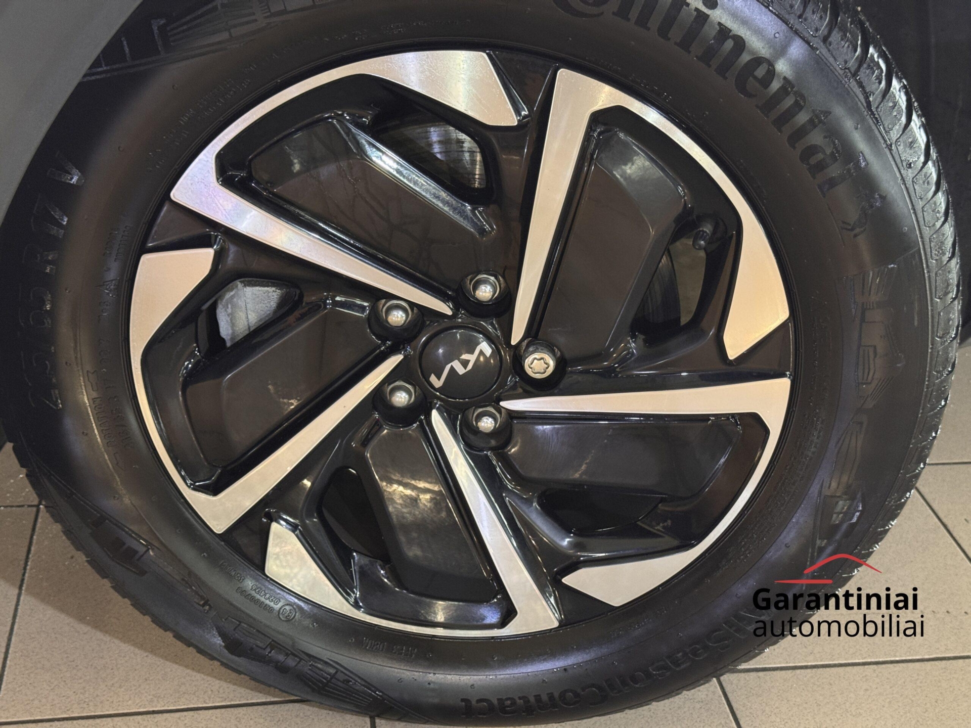 Kia Sportage 1.6 CRDi MHEV 7DCT EX 2WD 2023 m. - Image 4