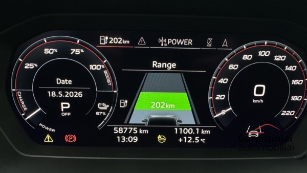 Audi Q4 50 E-Tron 220 kW Quattro 2021 m. 13