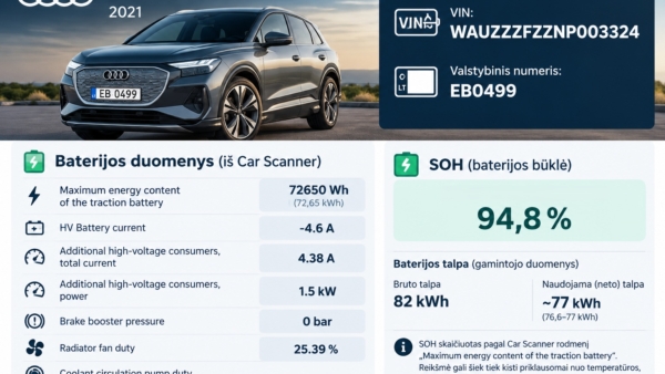 Audi Q4 50 E-Tron 220 kW Quattro 2021 m. 42