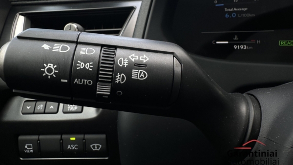Lexus UX 300h 2.0 F-Sport AWD 2024 m. 10
