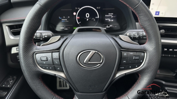 Lexus UX 300h 2.0 F-Sport AWD 2024 m. 6