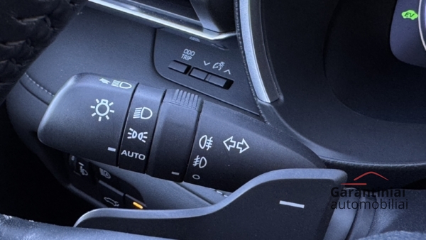 Toyota Highlander 2.5 Hybrid Executive AWD-i 2024 m. 7 vietos 23