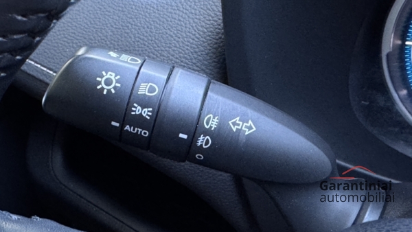 Toyota RAV4 2.5 Hybrid Luxury + Comfort paketas AWD 2022 m. 15