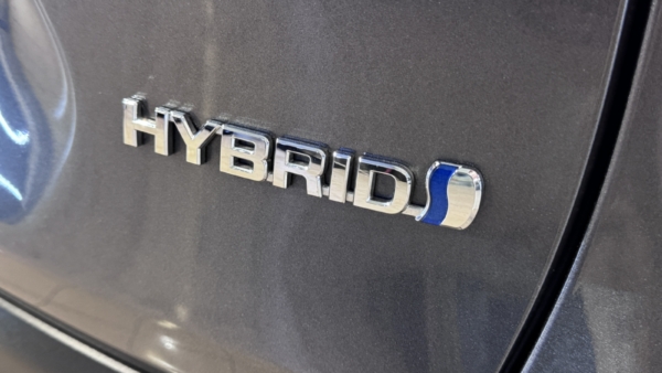 Toyota RAV4 2.5 Hybrid Luxury + Comfort paketas AWD 2022 m. 4