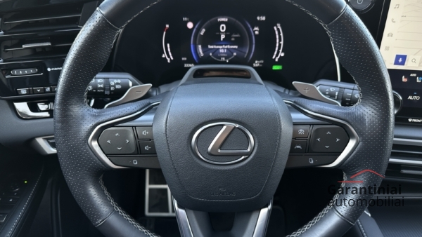Lexus RX 500h 2.4 F SPORT Performance DIRECT4 AWD 2023 m. 6