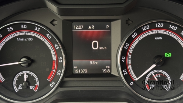 Skoda Octavia RS 2.0 TDi DSG 4x4 2019 m. 15