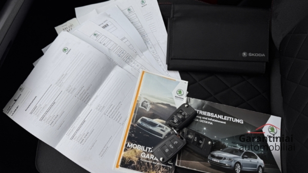 Skoda Octavia RS 2.0 TDi DSG 4x4 2019 m. 30