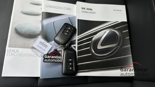 Lexus NX300h 2.5 Business AWD 2021 m. 33