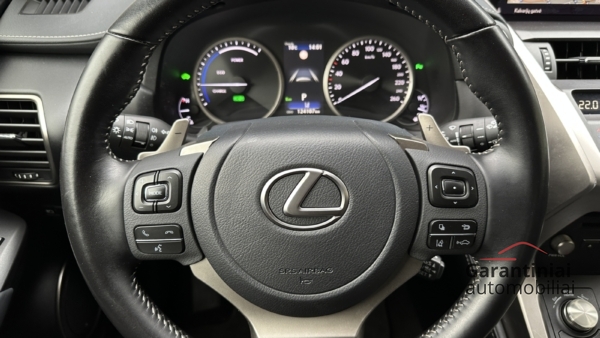 Lexus NX300h 2.5 Business AWD 2021 m. 6