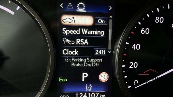 Lexus NX300h 2.5 Business AWD 2021 m. 9
