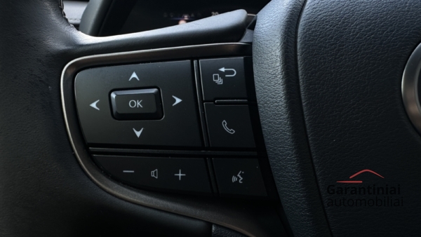 Lexus UX 250h 2.0 Midnight Edition 2021 m. 10