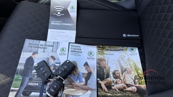 Skoda Karoq 1,5 TSi DSG Style 2019 m. 29