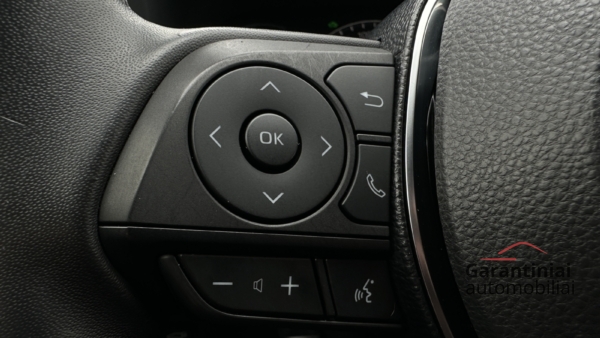 Toyota RAV4 2.5 Hybrid Style 2019 m. 9