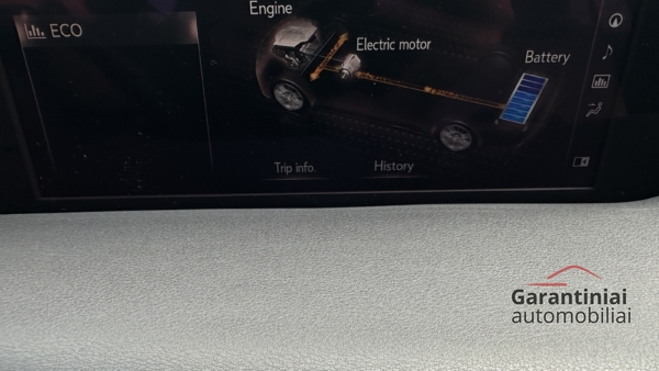 Lexus UX 250h 2.0 Luxury 2022 m. 17