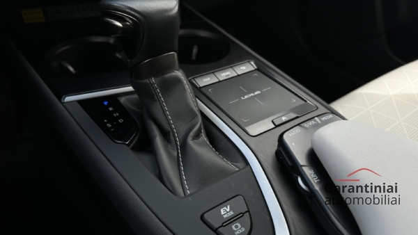 Lexus UX 250h 2.0 Luxury 2022 m. 22